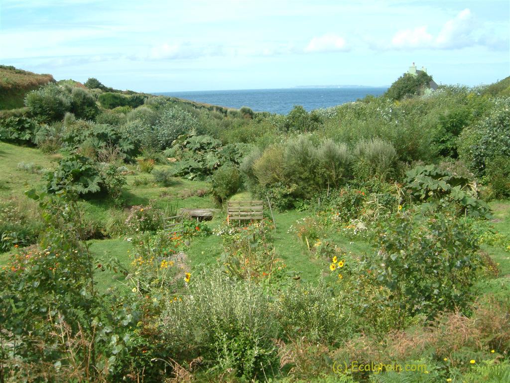 Photo du 22/08/2004 à 12:31:46
